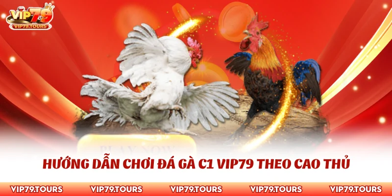 Hướng Dẫn Chơi Đá Gà C1 Vip79 Thắng Lớn Dành Cho Tân Binh 4 Hướng dẫn chơi đá gà C1 Vip79 theo cao thủ