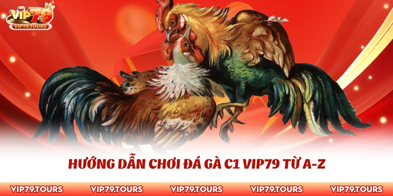 Hướng Dẫn Chơi Đá Gà C1 Vip79 Thắng Lớn Dành Cho Tân Binh 3 Hướng dẫn chơi đá gà C1 Vip79 từ A-Z