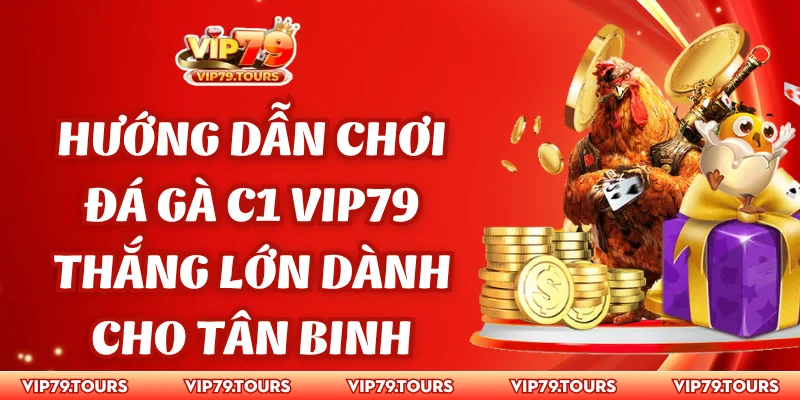 hướng dẫn chơi đá gà C1 Vip79