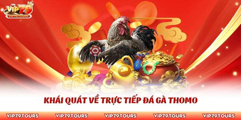 Trực Tiếp Đá Gà Thomo Tại Vip79 Với Nhiều Cách Xem Tiện Lợi 2 Khái quát về trực tiếp đá gà Thomo