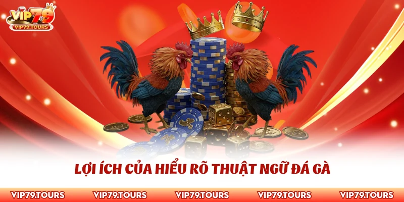Thuật Ngữ Đá Gà - Cập Nhật Từ Điển Cho Người Mới Từ A Đến Z 2 Lợi ích của hiểu rõ thuật ngữ đá gà