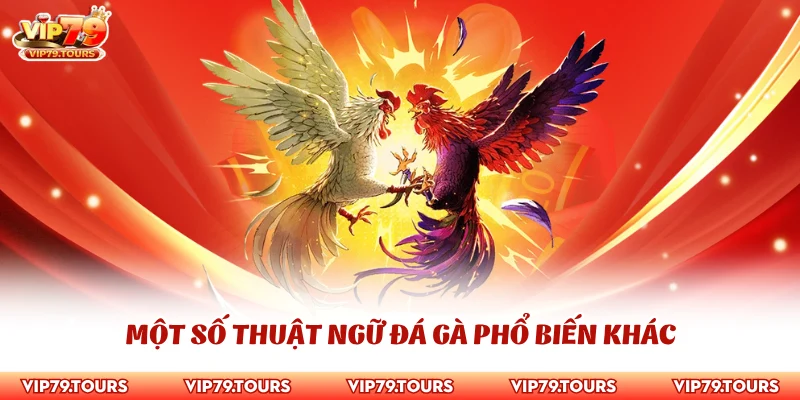 Thuật Ngữ Đá Gà - Cập Nhật Từ Điển Cho Người Mới Từ A Đến Z 4 Một số thuật ngữ đá gà phổ biến khác